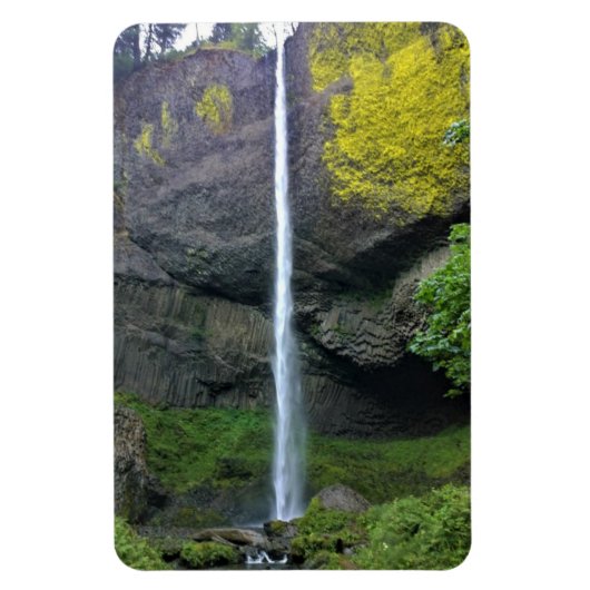 Latourell Falls, Oregon Magnet (Vertikal)