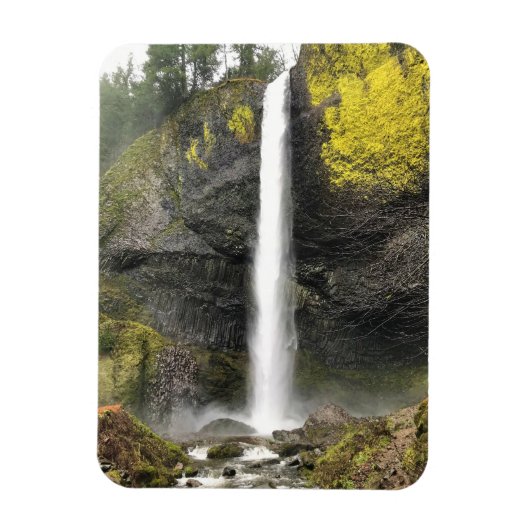 Latourell Falls, Oregon Magnet (Vertikal)