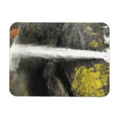 Latourell Falls, Oregon Magnet (Horizontal)