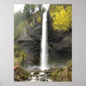 Latourell Falls, Oregon Poster (Vorne)
