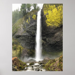 Latourell Falls, Oregon Poster