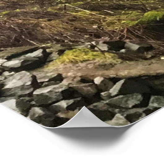 Latourell Falls, Oregon Poster (Ecke)