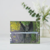 Latourell Falls Postkarte (Stehend Vorderseite)