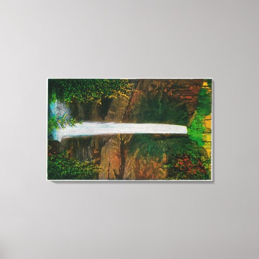 Latourelle Falls in Columbia River Gorge Leinwanddruck (Vorderseite)