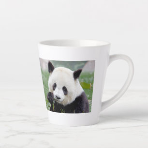 Latte Tasse Foto Riesenpanda , Tiere . Latte Tasse