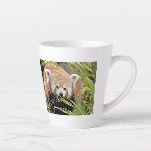 Latte Tasse Foto Rote Panda , Tiere . Latte Tasse