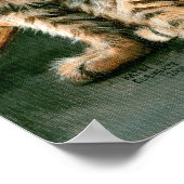 Lattice Cats Poster, tabby's tuxedos kmcoriginals Poster (Ecke)