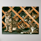 Lattice Cats Poster, tabby's tuxedos kmcoriginals Poster (Vorne)