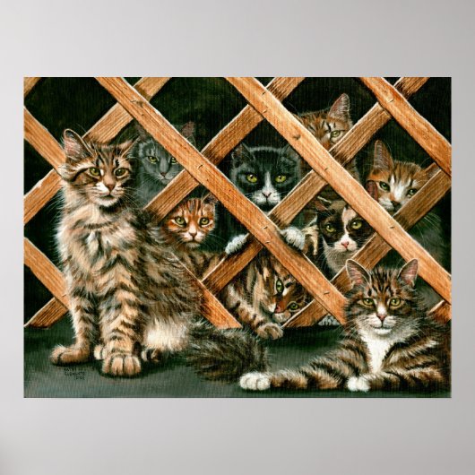 Lattice Cats Poster, tabby's tuxedos kmcoriginals Poster (Vorne)