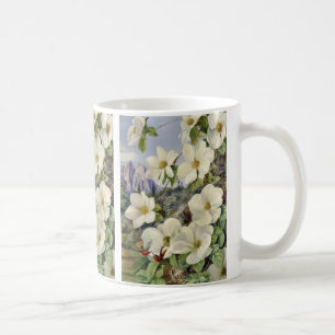 Laub und Blüten des kalifornischen Hartriegels Kaffeetasse