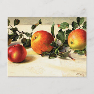Laubäpfel Postkarte