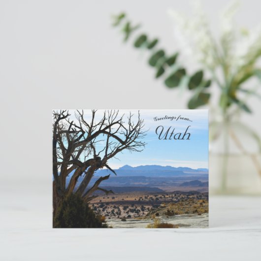 Laubbaum in Utah Postkarte (Stehend Vorderseite)