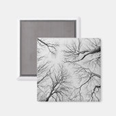 Laubbäume im Diebstahl Magnet (Vorderseite/Rückseite)