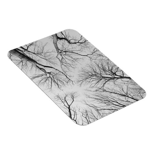 Laubbäume im Diebstahl Magnet (Rechte Seite)