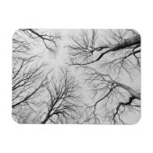 Laubbäume im Diebstahl Magnet (Horizontal)