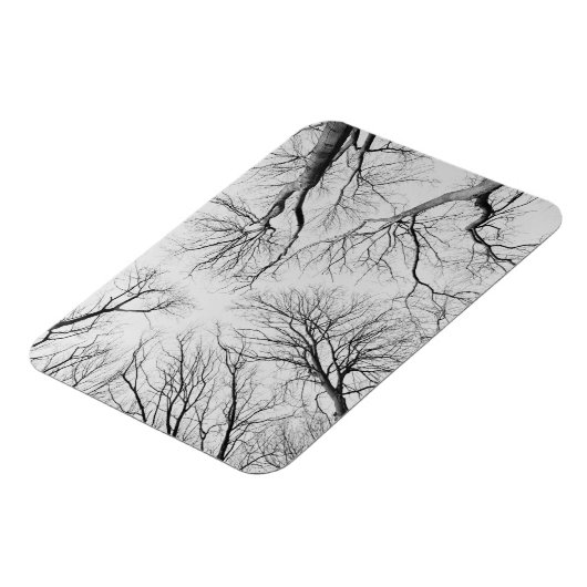 Laubbäume im Diebstahl Magnet (Linke Seite)