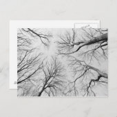 Laubbäume im Diebstahl Postkarte (Vorne/Hinten)