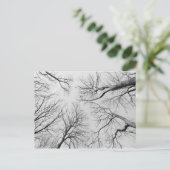 Laubbäume im Diebstahl Postkarte (Stehend Vorderseite)