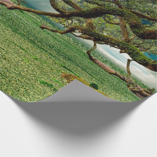 Laubblätterblättern Geschenkpapier (Ecke)