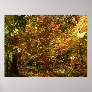 Laubdach des Herbstlaubs II Gelbe Herbstfotografie Poster