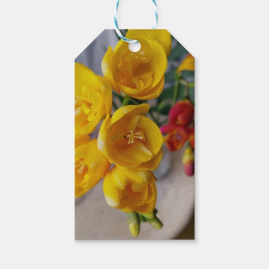 Laubenbäume Geschenkanhänger (Vorderseite)