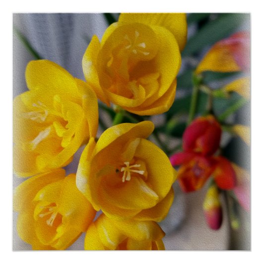 Laubenbäume Poster (Vorderseite)