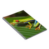 Laubfrosch Notizblock (Rechte Seite)