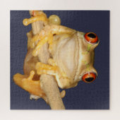 Laubfrosch Puzzle (Horizontal)