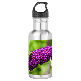 Laubheuschrecke Energie Edelstahlflasche