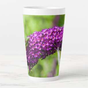 Laubheuschrecke Energie Milchtasse