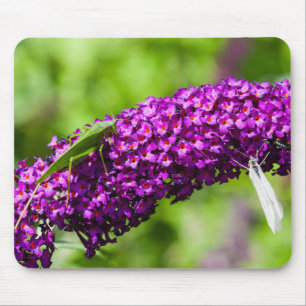 Laubheuschrecke Energie Mousepad