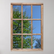 Laubiger Baum Blick aus einem Fenster