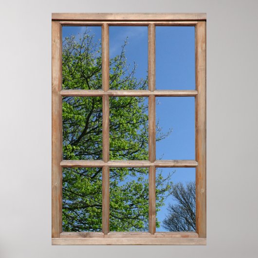 Laubiger Baum Blick aus einem Fenster Poster (Vorne)