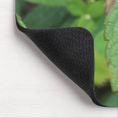 Laubkäfer Mousepad (Ecke)