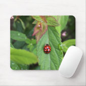 Laubkäfer Mousepad (Mit Mouse)