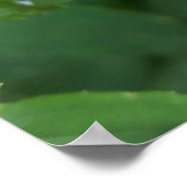 Laubkäfer Poster (Ecke)