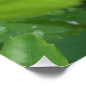 Laubkäfer Poster (Ecke)