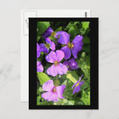 L'aubriète Postkarte (Vorne/Hinten)