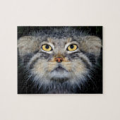 Laubsäge - pallas Katze Puzzle (Horizontal)