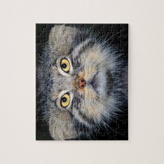 Laubsäge - pallas Katze Puzzle (Vertikal)