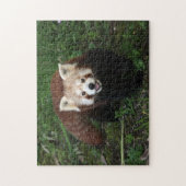 Laubsäge - roter Panda Puzzle (Vertikal)