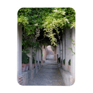 Laubüberwachsener Weg, Spanien Magnet