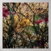 Laubwald Poster (Vorne)