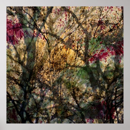 Laubwald Poster (Vorne)