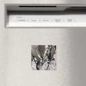 Lauf der Linie Magnet (In Situ (Geschirrspüler))