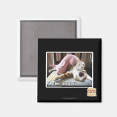 Lauf! Rett dich! Magnet (Vorderseite/Rückseite)