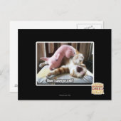 Lauf! Rett dich! Postkarte (Vorne/Hinten)