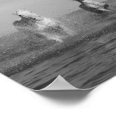 Lauf, weiße Pferde, Ozean, Kunstfotografie Poster (Ecke)