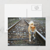 Laufbahn für Hunde Postkarte (Vorne/Hinten)