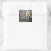 Laufbahn für Hunde Quadratischer Aufkleber (Tasche)